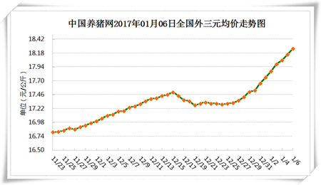 1月6日猪评：还在涨 猪价天花板会不会是18.75元/公斤?