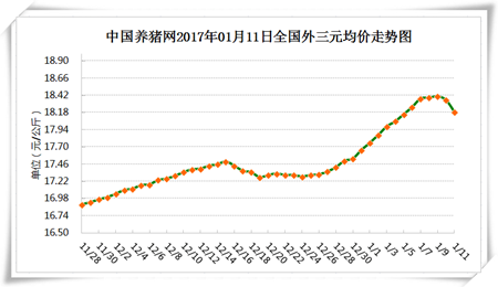 1月11日猪评：春运大幕开启 猪价扭跌为涨机会大