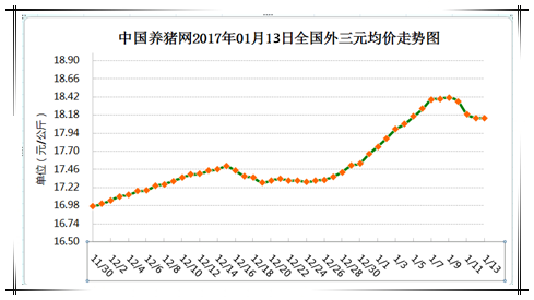 1月13日猪评：下跌的那一抹绿！猪价未来猪价将反弹