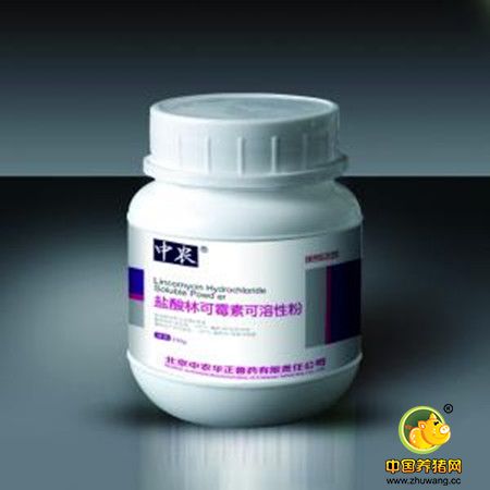 林可霉素(洁霉素)Lincomycin