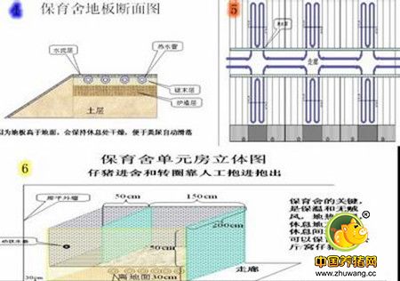 猪场设计原则设计思路