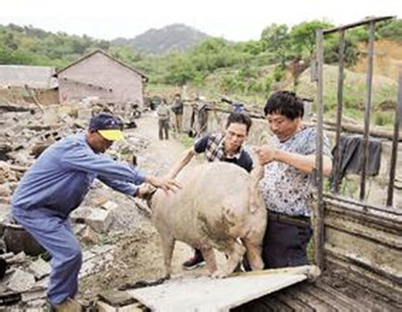 娄底:孙水河边一规模猪场被强制拆除