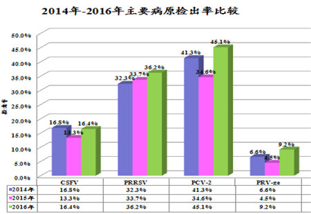 猪场爆发蓝耳病，免疫圆环还有用吗?