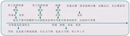 纵横核心颗粒制剂：熱炎欣(氟尼辛葡甲胺颗粒)