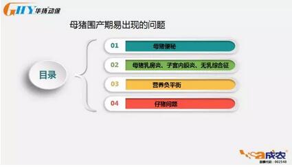 母猪围产期系列：母猪围产期容易出现的问题及危害