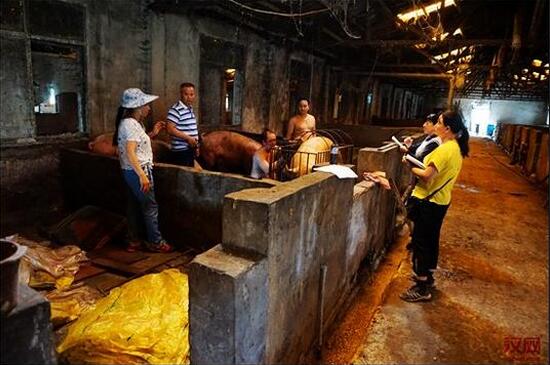 私人猪棚成了餐厨垃圾消纳场 化工区查扣地沟油、潲水饲料近一吨