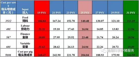 【PITC 35 PSY听课笔记】提高猪场PSY的5个必要策略——挑战PSY 35的必由之路！