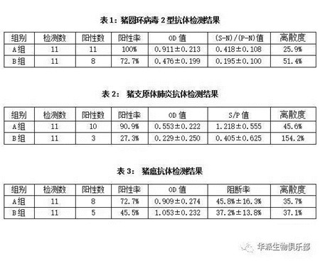 圆环康和支肺通混合免疫方案田间使用效果全程比对