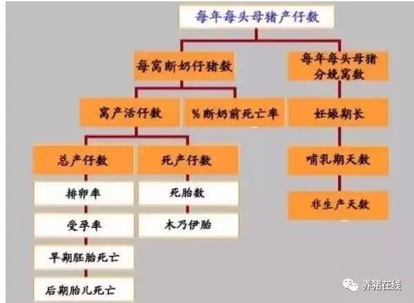 为什么母猪的产仔数少，从这9个方面找原因