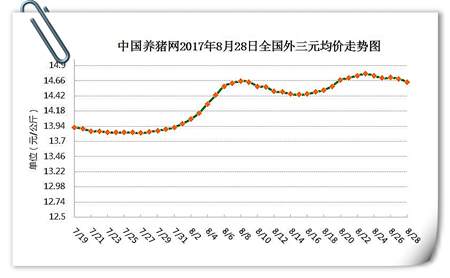 8月28日猪评：猪价趋稳局地小跌，利好后期能否再次腾飞？