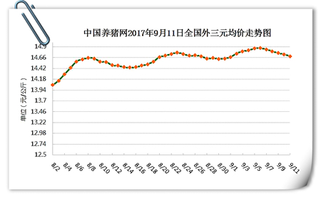 9月11日猪评：猪价持续小幅回落，北方现趋稳迹象