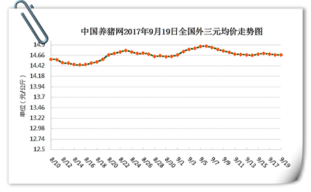 9月19日猪评：猪价持续震荡微调态势，双节或将难大涨