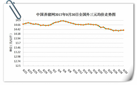 9月30日猪评：节前猪价无下跌可能 节日将以稳中调整为主