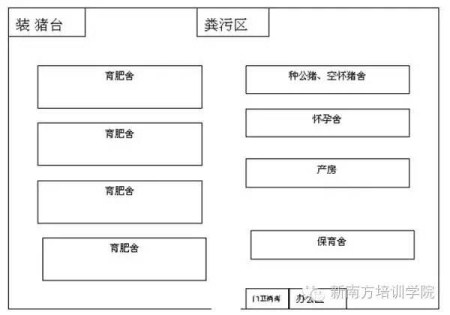 要知道，100头母猪的猪场是这样建设的