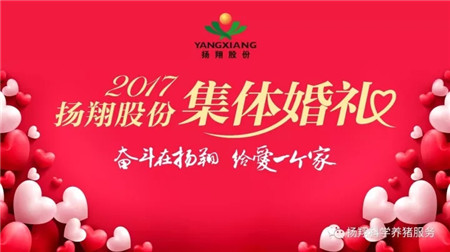 “我们结婚啦~”—扬翔股份2017年集体婚礼隆重举行！