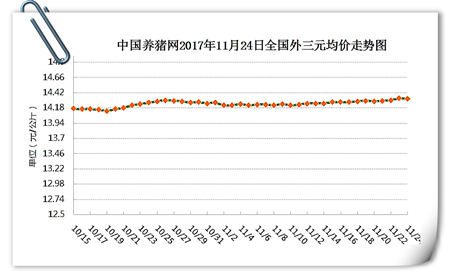 11月24日猪评：市场供需继续博弈，北方趋稳南方小幅波动