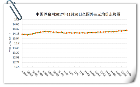 11月26日猪评：全面开涨！生猪价格已开启疯涨模式