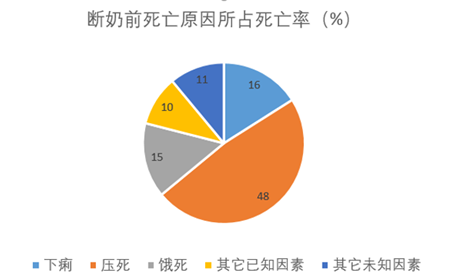 恒丰强：产房管理之要命的7天！