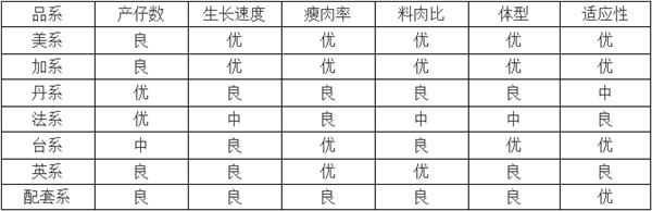 猪场选猪法则！不同种猪品系的优缺点都在这里