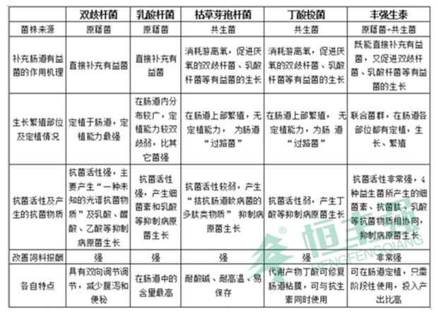 双歧杆菌与芽孢杆菌对动物作用的比较——江苏恒丰强生物技术有限公司