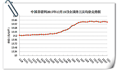 12月19日猪评：猪价稳中下调 助力因素能否带动新一轮上涨