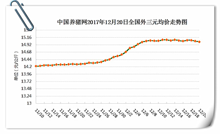 12月20日猪评：大家都看好冬至，猪价冬至能否逆转？