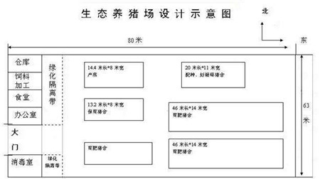 老厂长告诉你猪场怎么建设？合理安排猪场内的建筑！