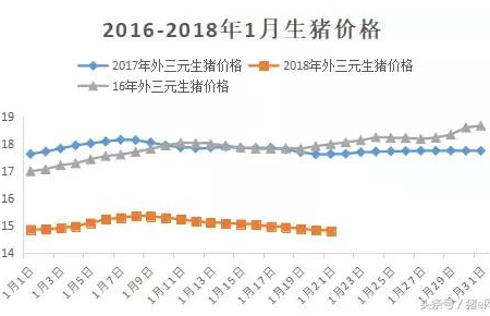 大暴雪又要来！猪价还会涨吗？