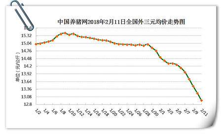 02月11日猪评：猪价仍持续暴跌，这样的行情到底还要多久？