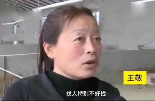 女生毕业后当猪倌-就是很喜欢养猪，养猪经验总结