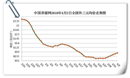 04月02日猪评：猪价暴涨之际，小心别掉入有价无市的“圈套”！