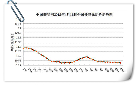 04月16日猪评：养猪人注意，新一轮跌价将来袭！