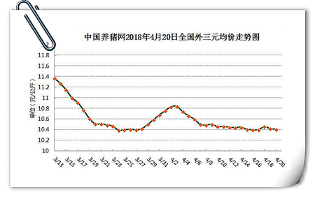 04月20日猪评：震荡期持续，猪价陷入上涨困难僵局！