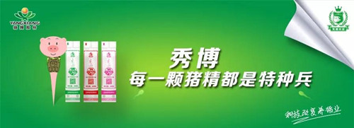 各大节日，关于兽医人那些你不知道的事儿……