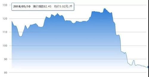 2018新牧大咖秀来啦！优秀猪精的基因该如何选择？