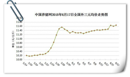 06月17日猪评：“回头看”、世界杯助推，猪价或将“起死回生”？