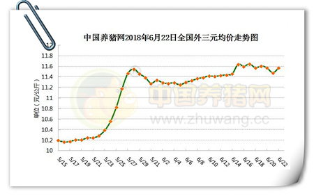 06月22日猪评：稳中有跌，夏季来临猪价将“一片绿”？