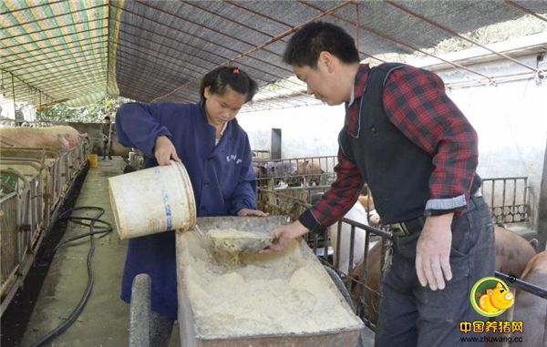 这种经过野猪和家猪配种的后代不仅抗病强，而且其肉品肉质鲜嫩、营养丰富。尽管在市场上比普通猪肉价格高，每斤贵出2元，但“混血二师兄”的肉还是颇受青睐，供不应求。