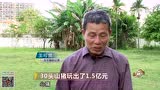 致富经  农民用30头猪玩出1.5亿！！