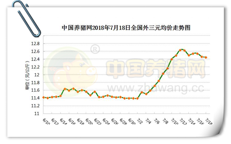 中国养猪网