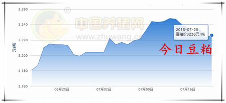 中国养猪网