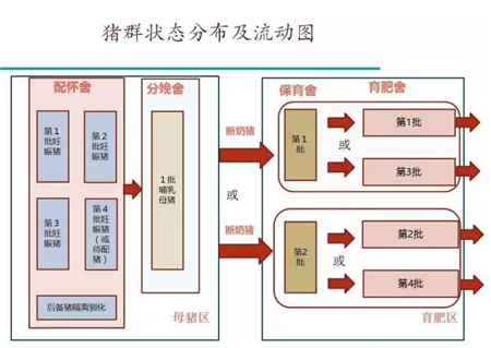 批次生产|规模场四周批生产模式简介