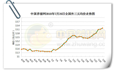 中国养猪网