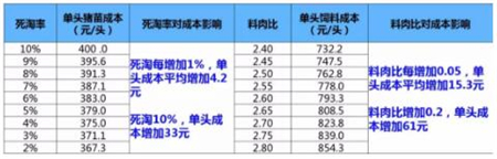 料肉比低0.2，每头猪居然可多赚60元！