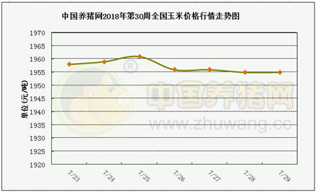 中国养猪网