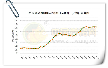 中国养猪网