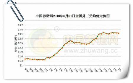 中国养猪网