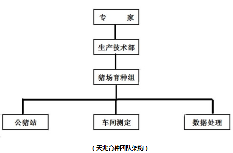 我作为世界养猪大国，中国对优良猪种的需求逐年增加。但目前国内种猪选育工作与国外相比仍存在较大差距，在养猪生产中对国外优良种猪依赖程度高，存在“引种—维持—退化—再引种”的现象。