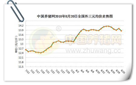 中国养猪网