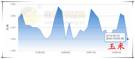 中国养猪网